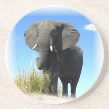 Elephant Coasters