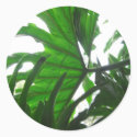 Elephant-Ear-Philodendron 10 stickers by LivingNature Elephant-Ear-Philodendron 10 stickers