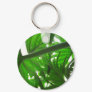 Elephant-Ear-Philodendron 5