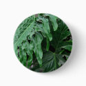 Elephant-Ear-Philodendron 6 buttons by LivingNature Elephant-Ear-Philodendron 6 buttons