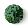 Elephant-Ear-Philodendron 6
