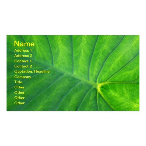 Elephant Ears - Colocasia Business Card (front side)