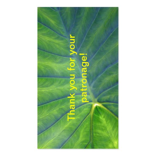 Elephant Ears - Colocasia Business Card (back side)