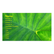 Elephant Ears - Colocasia Business Card