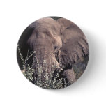Elephant - Etosha National Park, Namibia Button