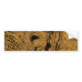 Elephant Eye Bumper Sticker