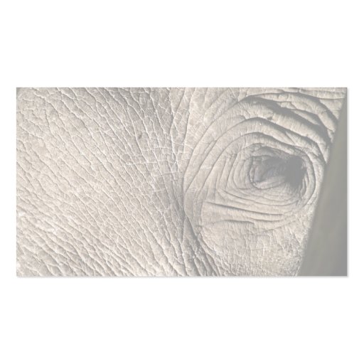 Elephant eye business card template (back side)