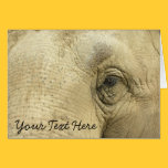 Elephant Eye Closeup Note Card cards