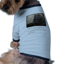 Elephant Eye pet clothing by NorthRiverEditions Elephant Eye pet clothing