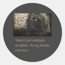 Elephant Eye Sticker