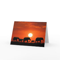 Elephant family greeting card