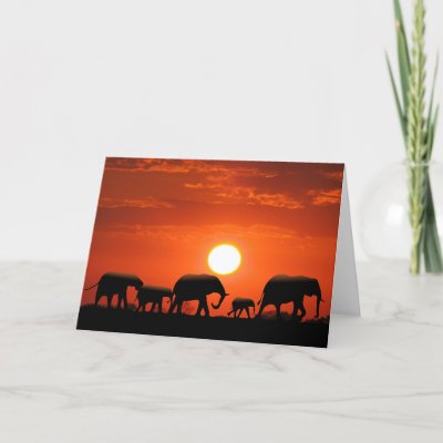 Elephant family greeting card