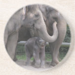 Elephant Family Cheers Coaster coasters