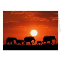 Elephant family greeting card