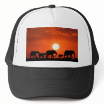 Elephant family mesh hats