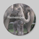 Elephant Family Magnets magnets