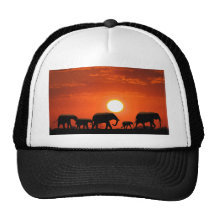 Elephant family mesh hats