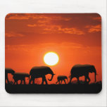 Elephant family mouse pads
