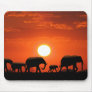 Elephant family mouse pads