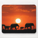 Elephant family mousepads