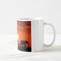 Elephant family mugs
