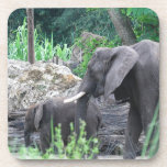 Elephant Family Set of Six Coasters