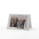 elephant FRIEND CARD by KatAnnette elephant FRIEND CARD