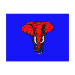 ELEPHANT GOP Postcard