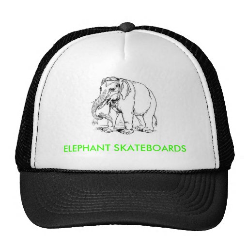 elephant hat 1 zazzle elephant hat 1 zazzle