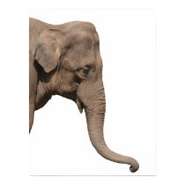Elephant head posters by Eggznbeenz Elephant head posters