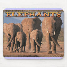 ELEPHANT HERD PHOTOGRAPH MOUSE PAD