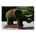 Elephant in chinese garden cards by KatDuncanDesigns Elephant in chinese garden cards