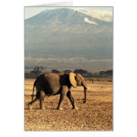 Elephant in front of Kilimanjaro Greeting Card