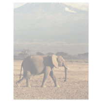 Elephant in front of Kilimanjaro Custom Letterhead