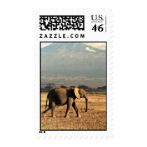 Elephant in front of Kilimanjaro Stamp