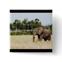 Elephant in Masai Mara, Kenya badge button