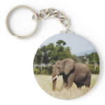 Elephant in Masai Mara, Kenya keychain