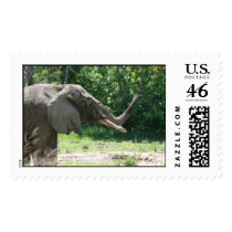 Elephant in the park postage