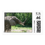 Elephant in the park postage