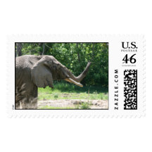 Elephant in the park stamp