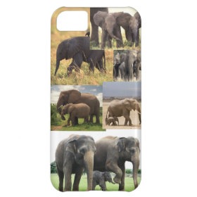 Elephant Iphone 5 case