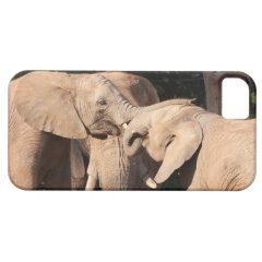 Elephant Love iPhone 5 Cover