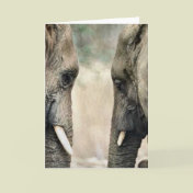 Elephant Lovers Art Gifts