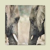 Elephant Lovers Art Gifts