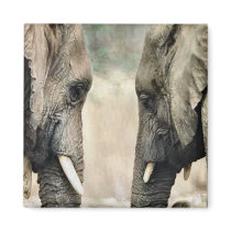 Elephant Lovers Art Gifts Magnet