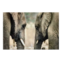 Elephant Lovers Art Gifts posters by WildByDezign Elephant Lovers Art Gifts posters