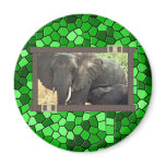 Elephant Magnets