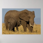 Elephant Mom and Baby Print