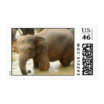 Elephant Moment postage