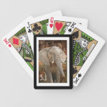 Elephant monogram wild animal photo card decks